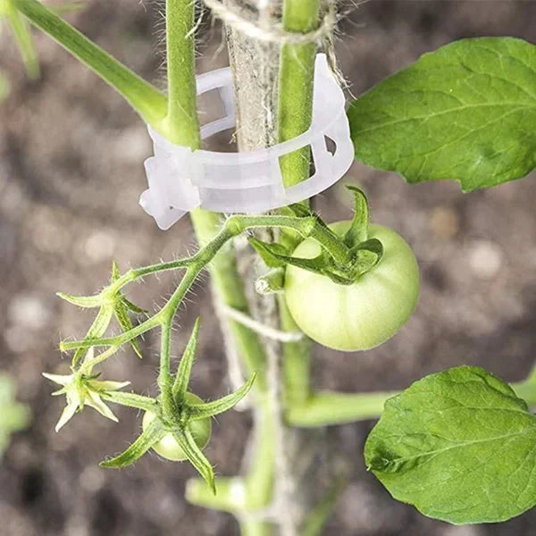 Clips de Support pour Plantes – Fixation Douce et Réutilisable