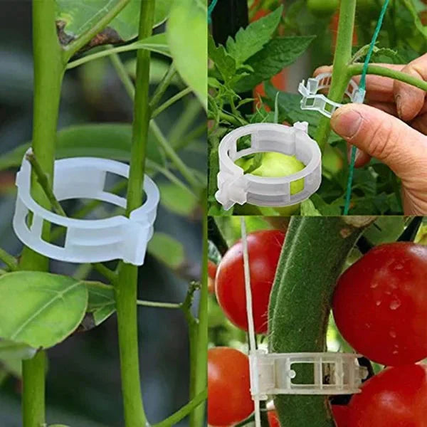 Clips de Support pour Plantes – Fixation Douce et Réutilisable