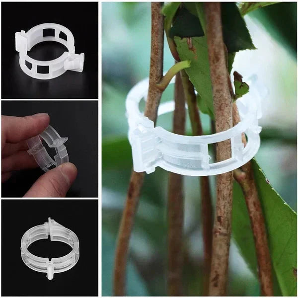Clips de Support pour Plantes – Fixation Douce et Réutilisable