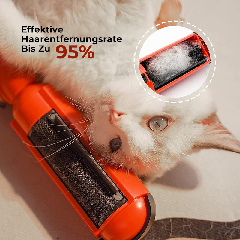 Fellfrei™ – La solution efficace et réutilisable contre les poils d’animaux [50 % de réduction]