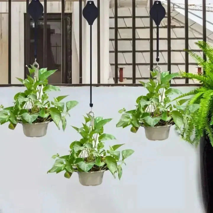 Suspension Plante avec Poulie – Fixation Plafond Réglable [1+1 Gratuit]