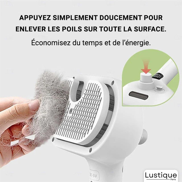 Brosse Douce pour Chien et Chat avec Brumisateur Intégré