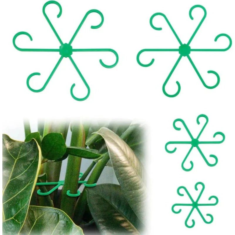 Supports de plantes à clipser – 4 tailles pour tiges et vrilles