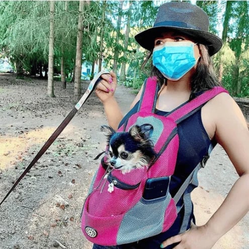 PawPack™ – Sac de transport respirant pour chien confortable [50 % de réduction]