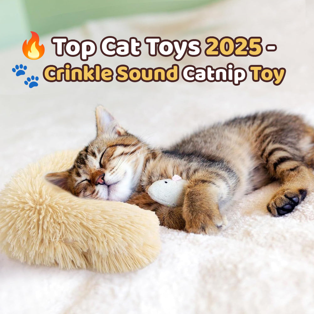 PawsJoy™ – Jeu actif et chat pleinement heureux [50 % de réduction]