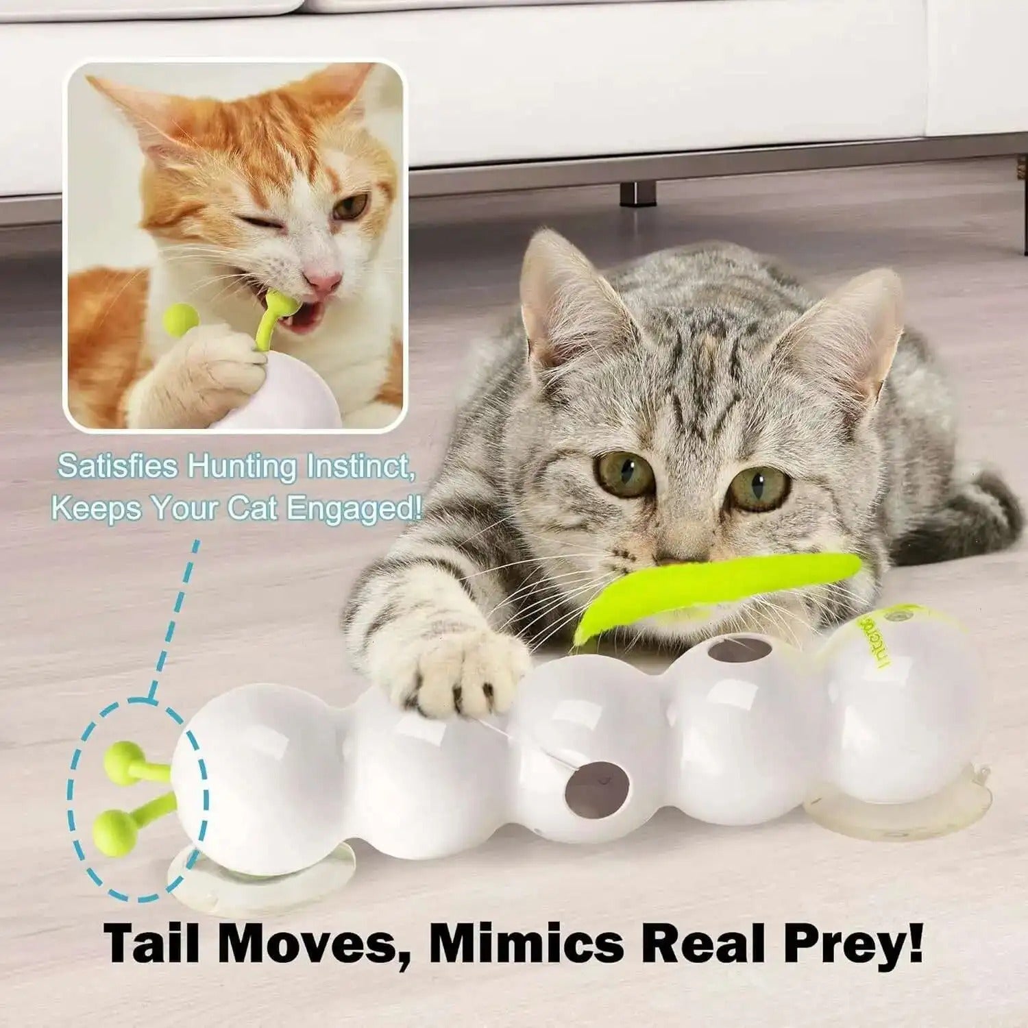 ThrillPlay™ – Éveillez les instincts sauvages de votre chat pour un plaisir de jeu sans limites [50 % de réduction]