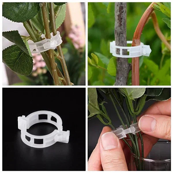 Clips de Support pour Plantes – Fixation Douce et Réutilisable
