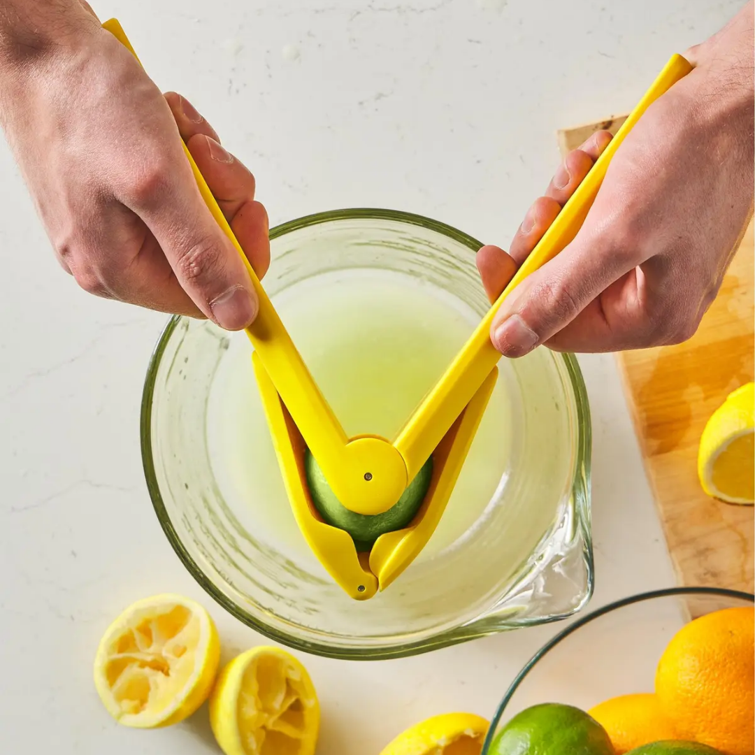 Presse-agrumes Manuel à Levier pour Citrons et Limes – Filtre Intégré