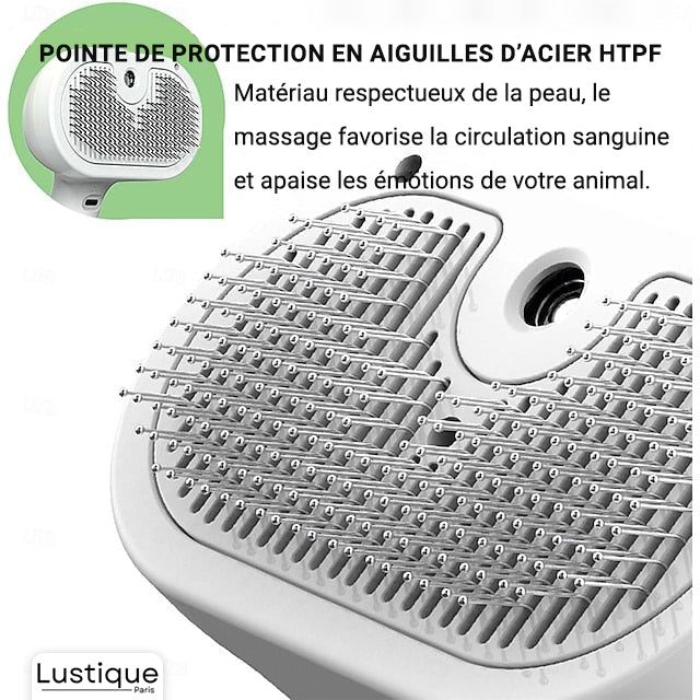 Brosse Douce pour Chien et Chat avec Brumisateur Intégré