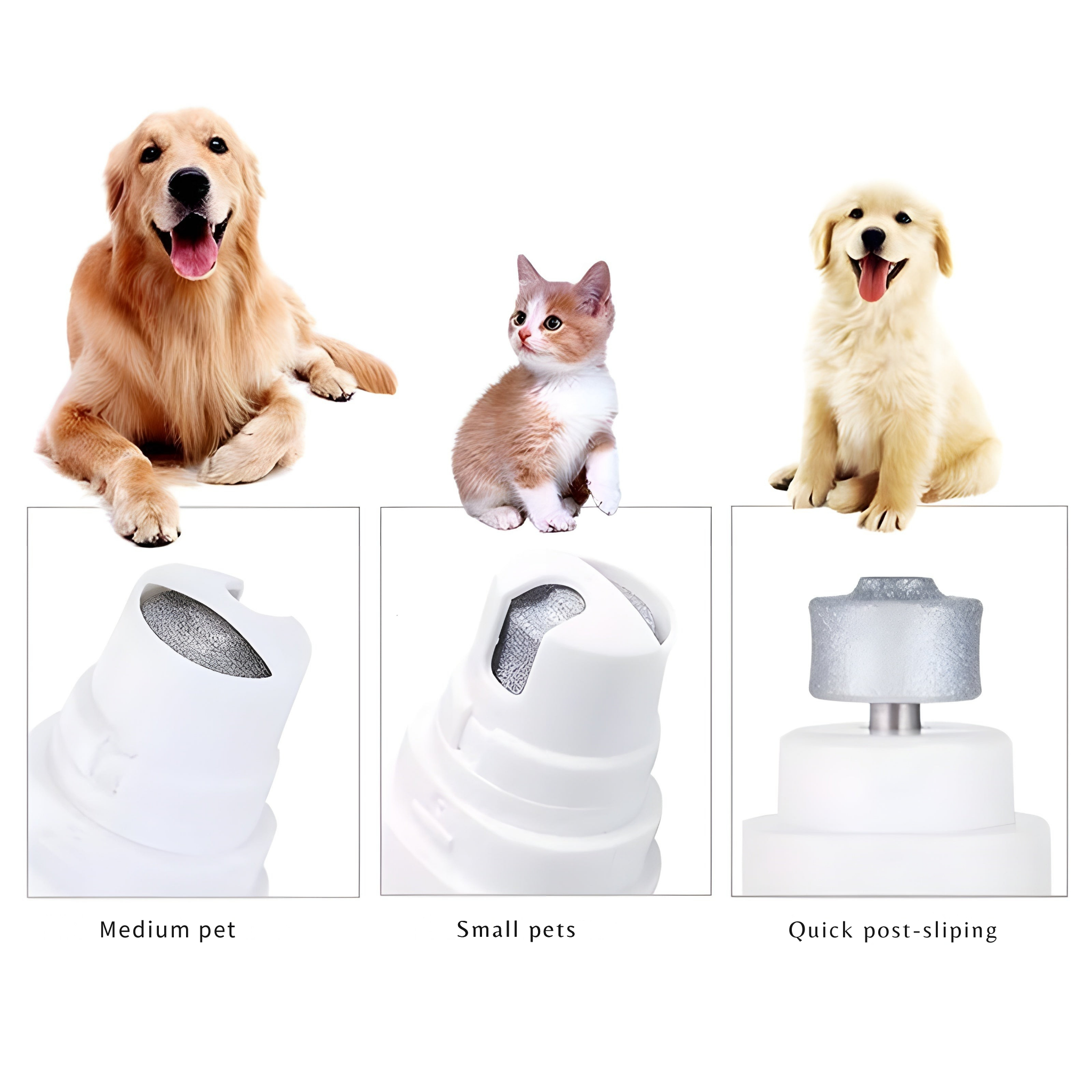 Lime à Griffes Électrique pour Chien et Chat – Meulage Doux et Silencieux