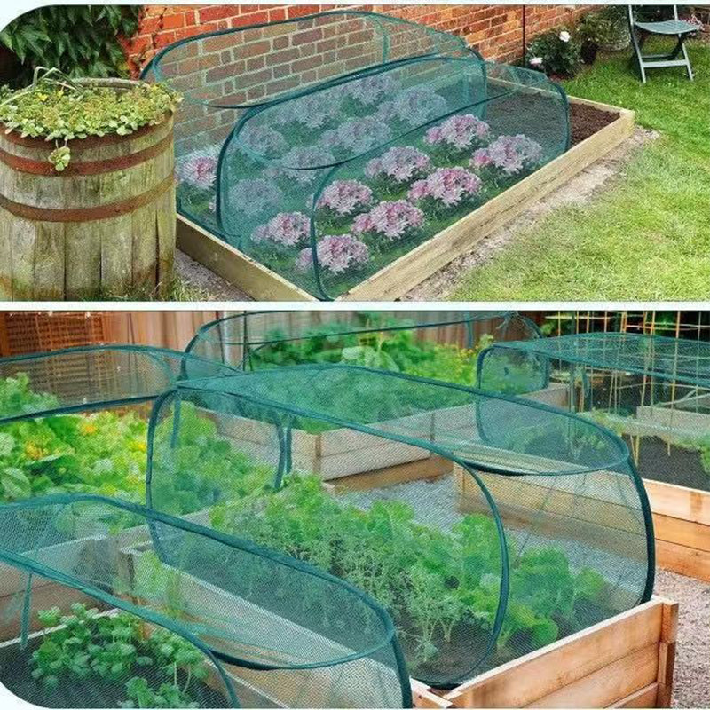 Filet de protection pour plantes pop-up anti-nuisibles avec ancrage au sol