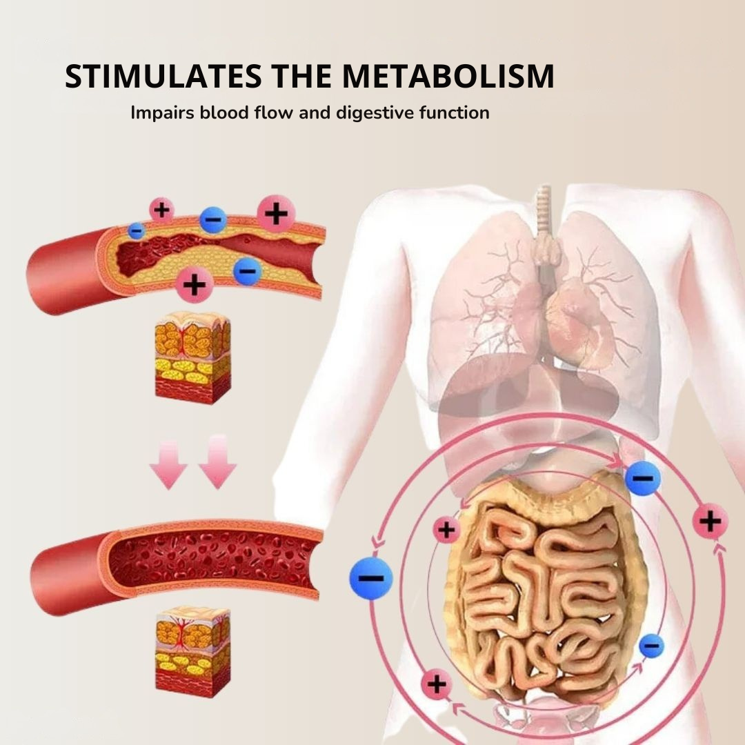 ThermalSlim™ – Gainant thermique pour un ventre plat [50 % de réduction]