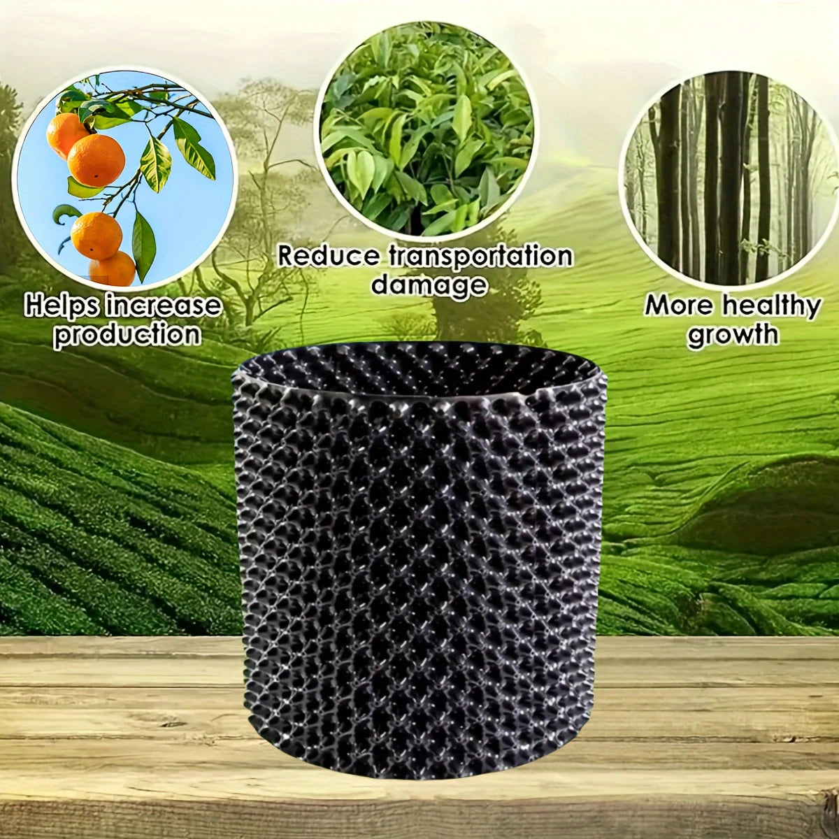 Système de Guidage des Racines pour Plantes – Croissance Forte et Saine