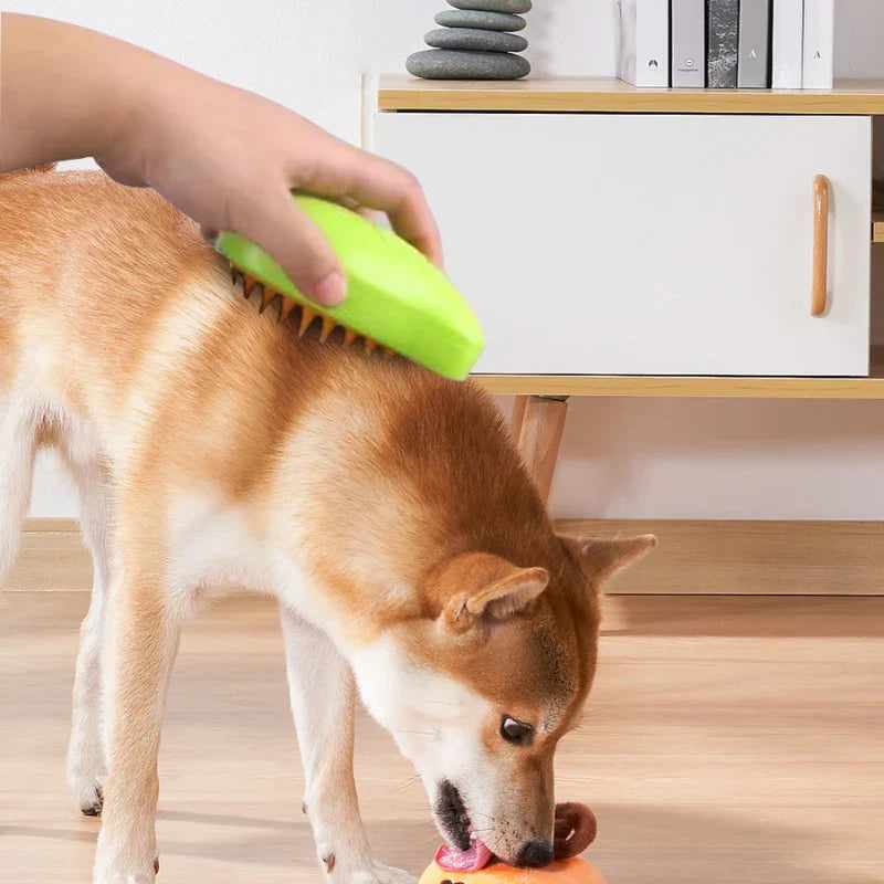 Brosse de Toilettage pour Animaux avec Spray Nano-Brume
