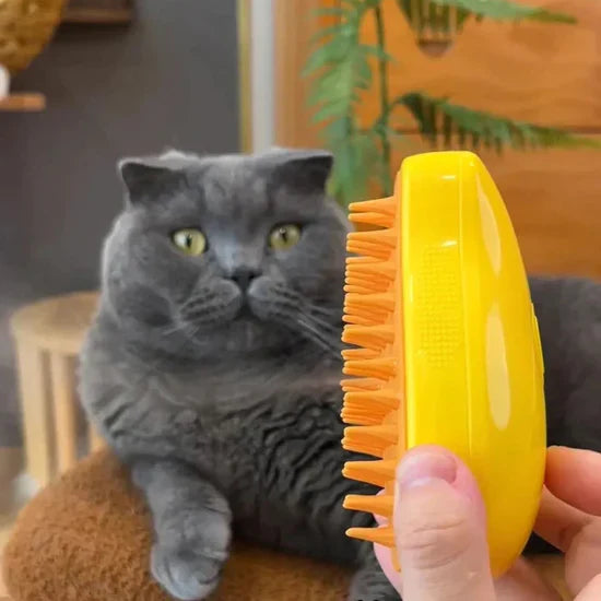 Brosse de Toilettage pour Animaux avec Spray Nano-Brume