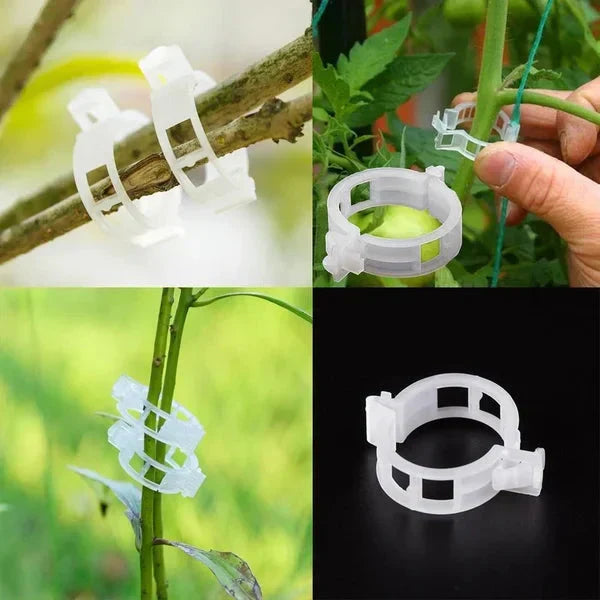 Clips de Support pour Plantes – Fixation Douce et Réutilisable