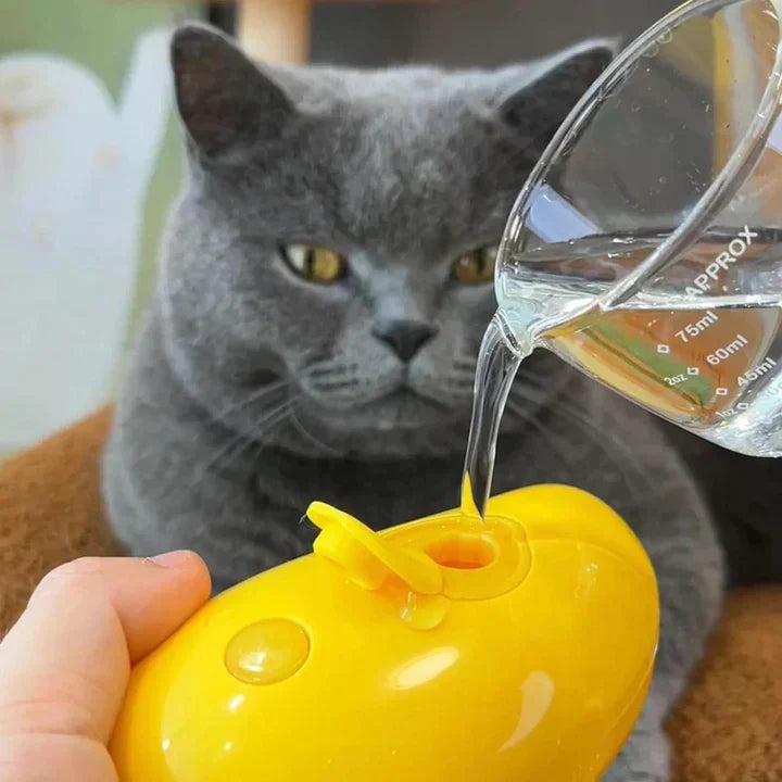 Brosse de Toilettage pour Animaux avec Spray Nano-Brume