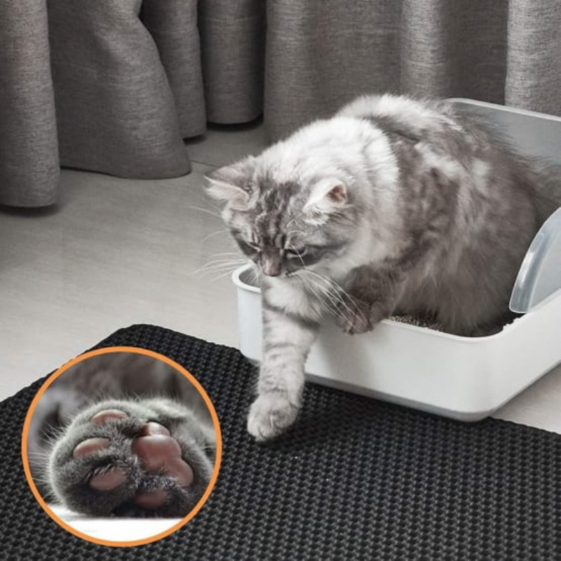 PawGuard™ – Tapis à litière double couche pour des sols propres et hygiéniques [50 % de réduction]