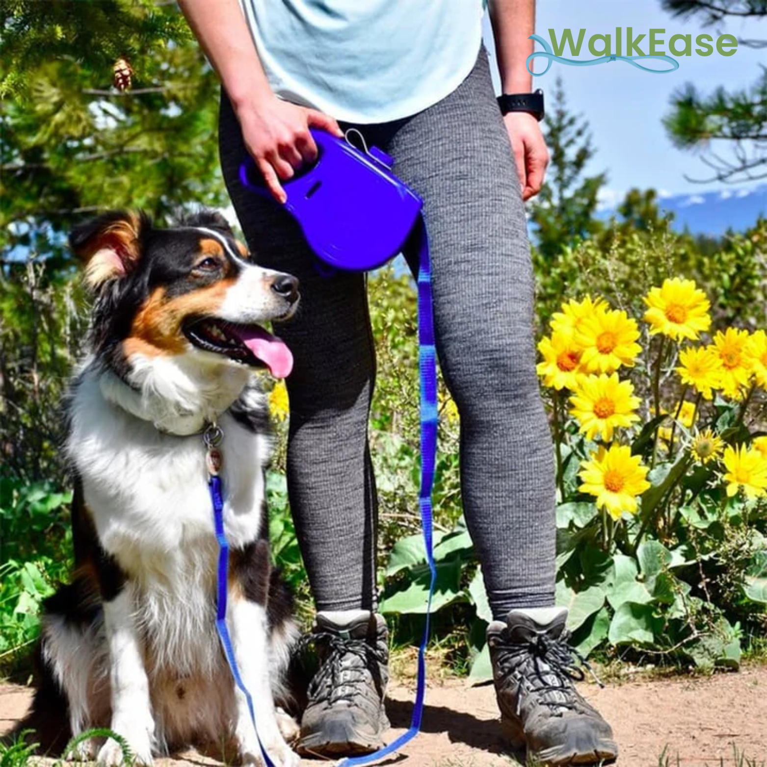 WalkEase™ – Laisse pour chien 5-en-1 pour un confort de promenade polyvalent [50 % de réduction]