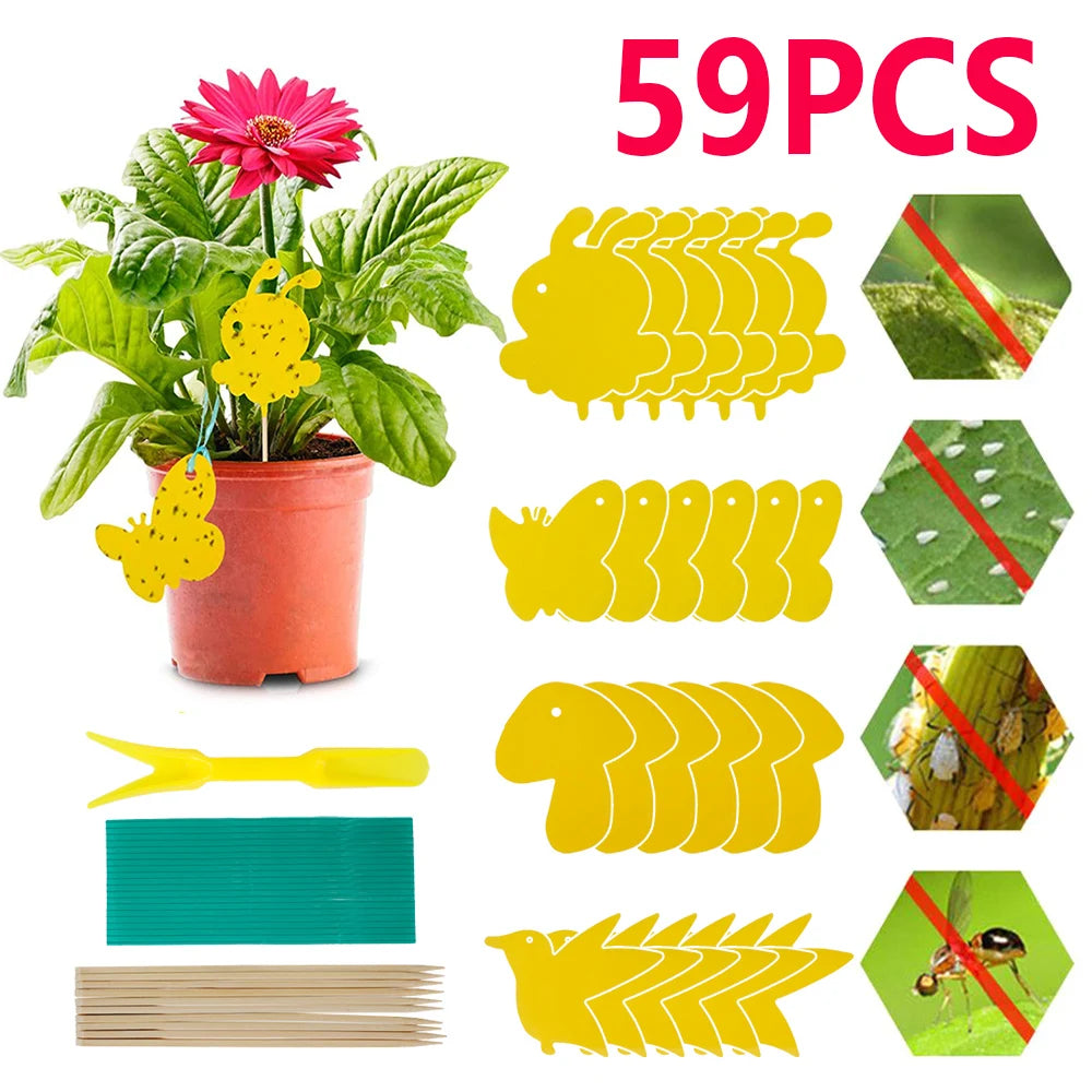 Pièges adhésifs décoratifs pour plantes – Sans produits chimiques [Lot de 40]