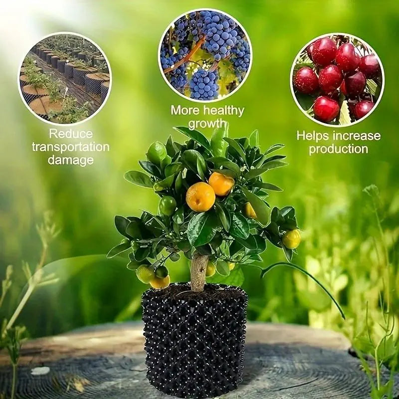 Système de Guidage Racinaire pour Arbres, Arbustes et Parterres