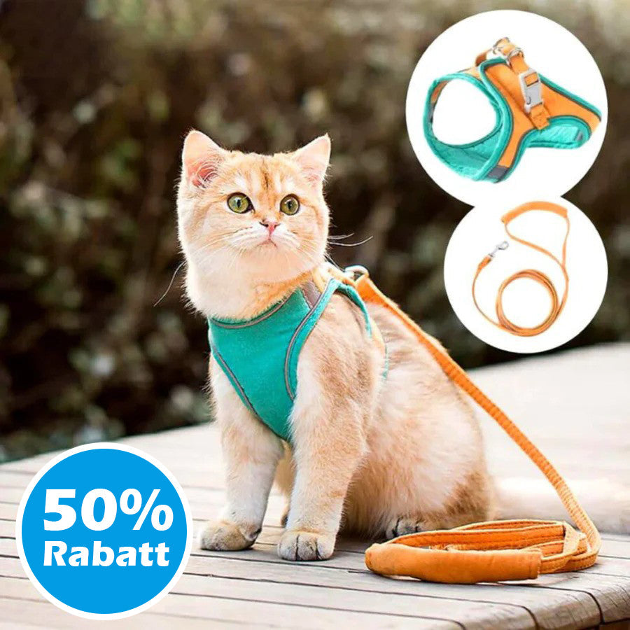 Harnais pour Chat Réfléchissant avec Laisse – Toutes Races