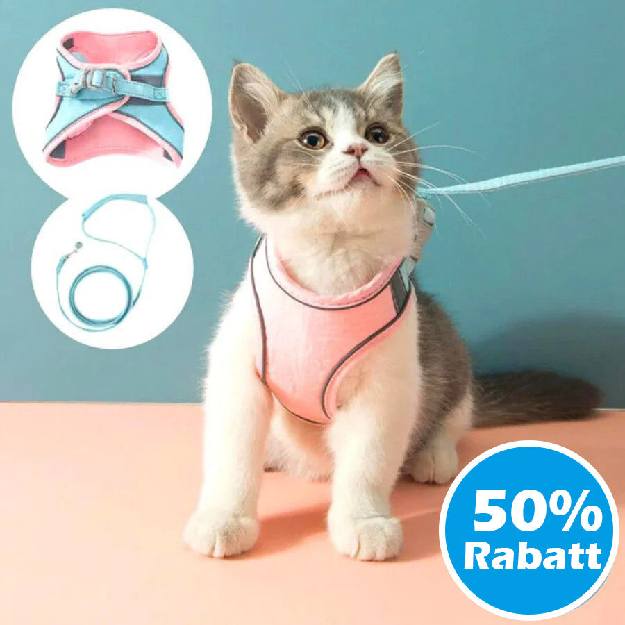 Harnais pour Chat Réfléchissant avec Laisse – Toutes Races