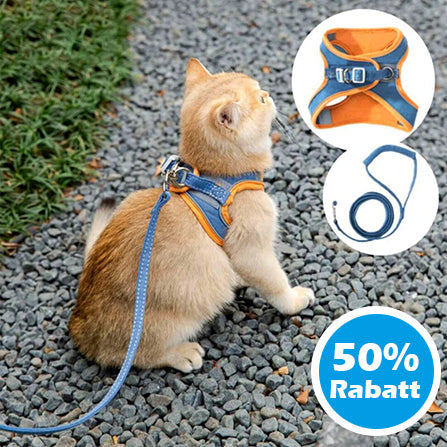 Harnais pour Chat Réfléchissant avec Laisse – Toutes Races