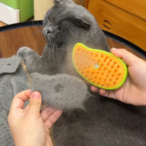 Brosse de Toilettage pour Animaux avec Spray Nano-Brume