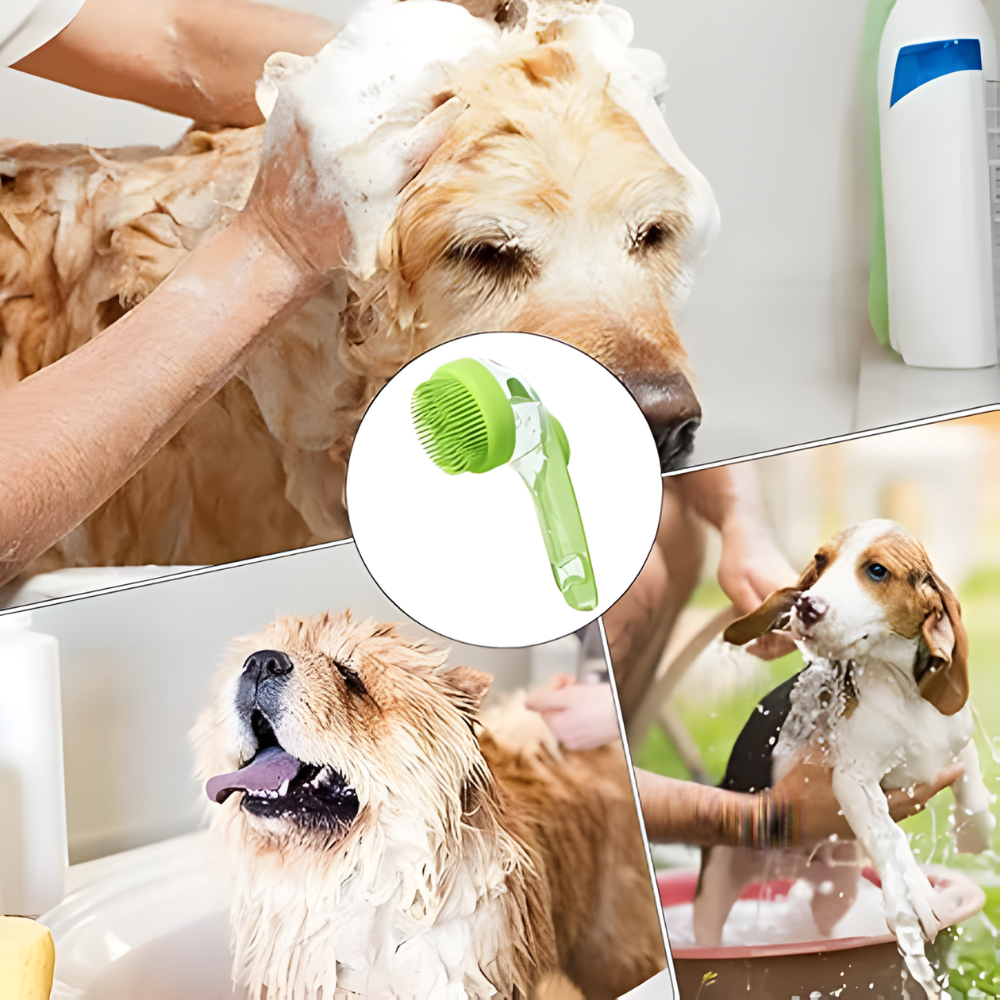 Brosse de bain pour chien et chat avec distributeur de shampoing intégré