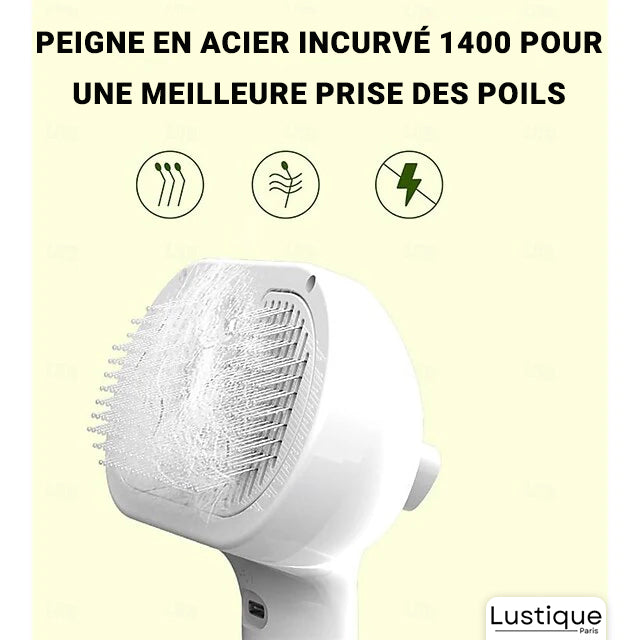 Brosse Douce pour Chien et Chat avec Brumisateur Intégré