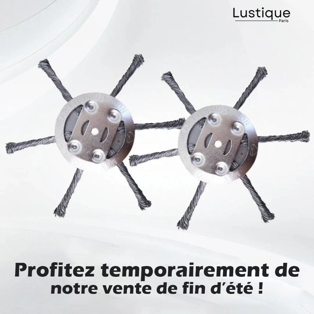 Coupe-Herbe de Précision à Lames Interchangeables pour Bordures de Pelouse