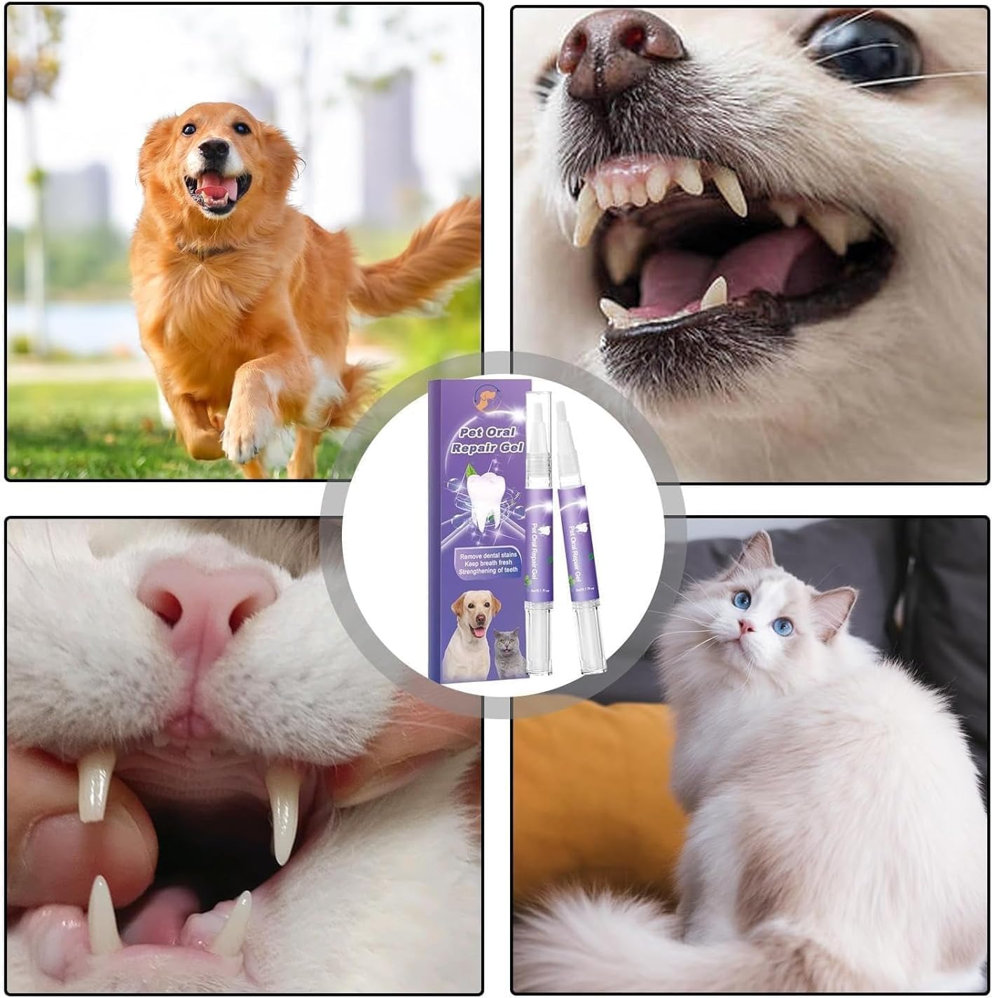 OralGlow™ – La solution ultime pour des dents saines et une haleine fraîche de votre animal [1 + 1 Gratuit]