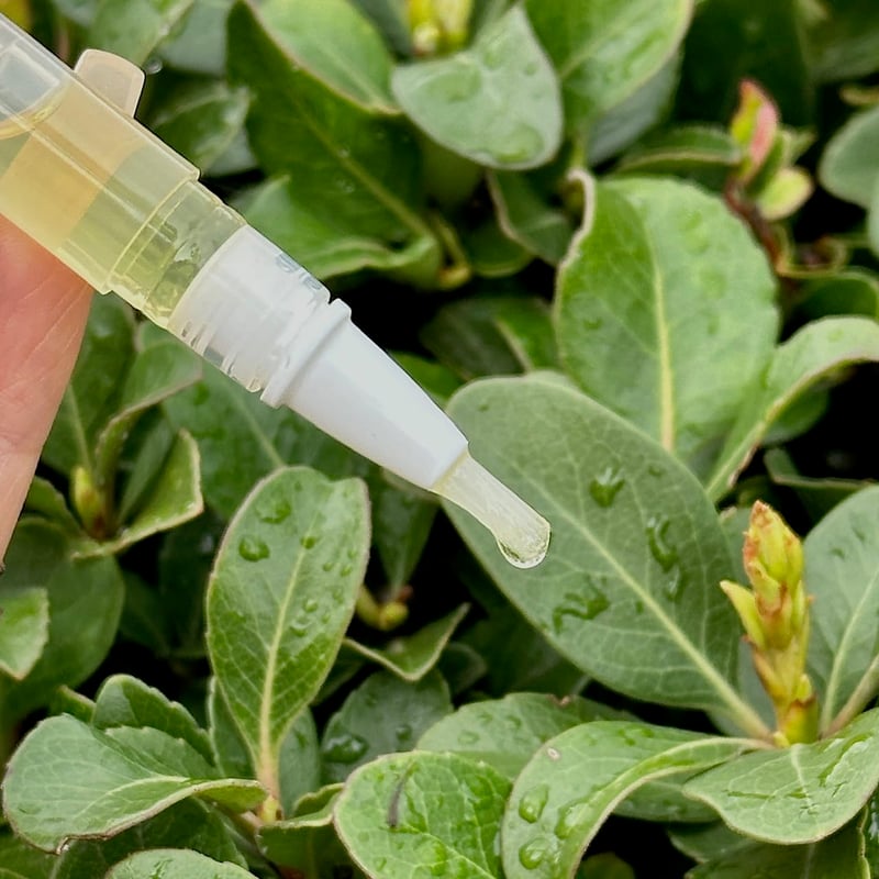 NailCare™ – Soin des ongles à la vitamine E et aux protéines pour des ongles forts et protégés [50 % de réduction]