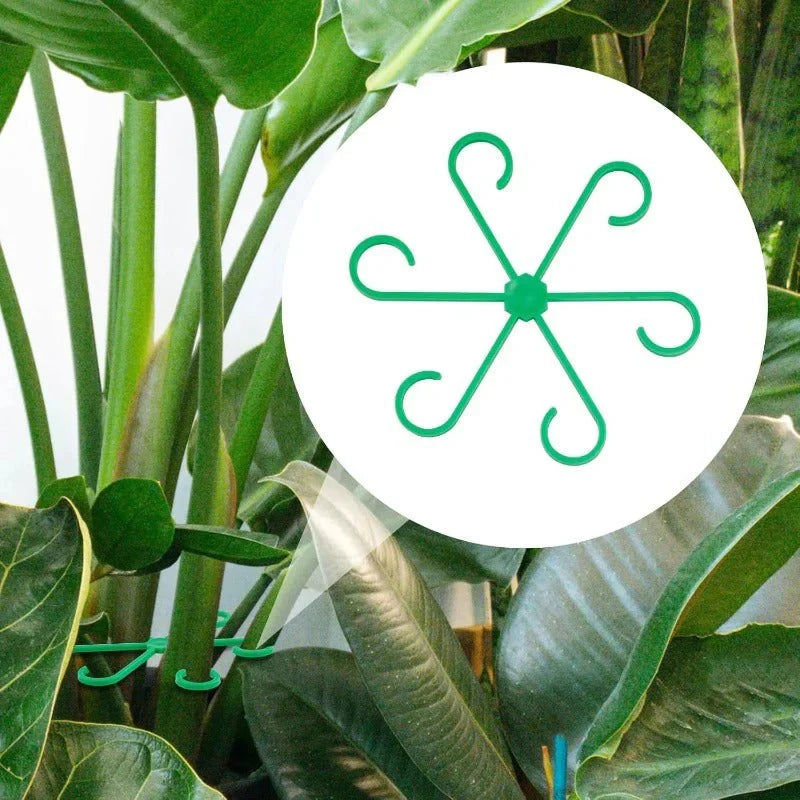 Supports de plantes à clipser – 4 tailles pour tiges et vrilles