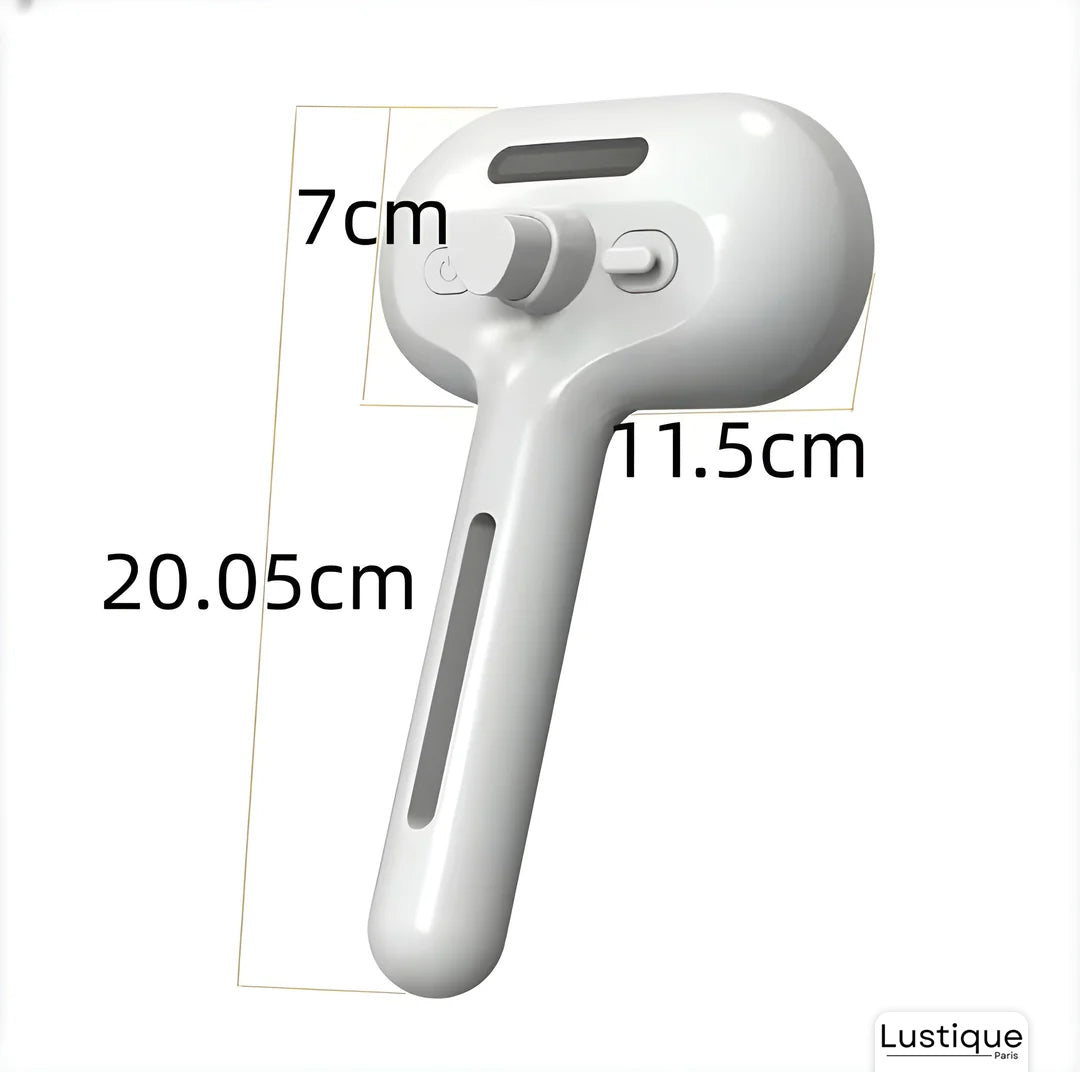 Brosse Douce pour Chien et Chat avec Brumisateur Intégré