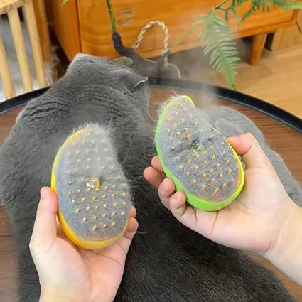 Brosse de Toilettage pour Animaux avec Spray Nano-Brume