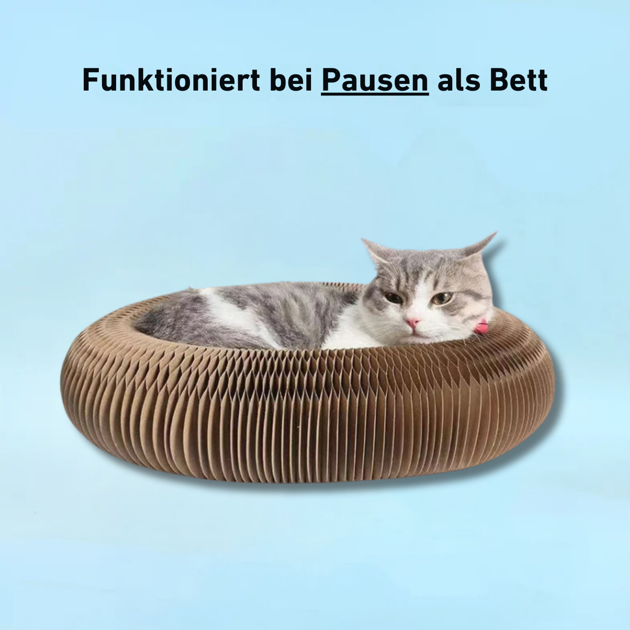 PouncePlay™ – Jeu à griffer interactif avec grelot pour des moments actifs de votre chat [50 % de réduction]