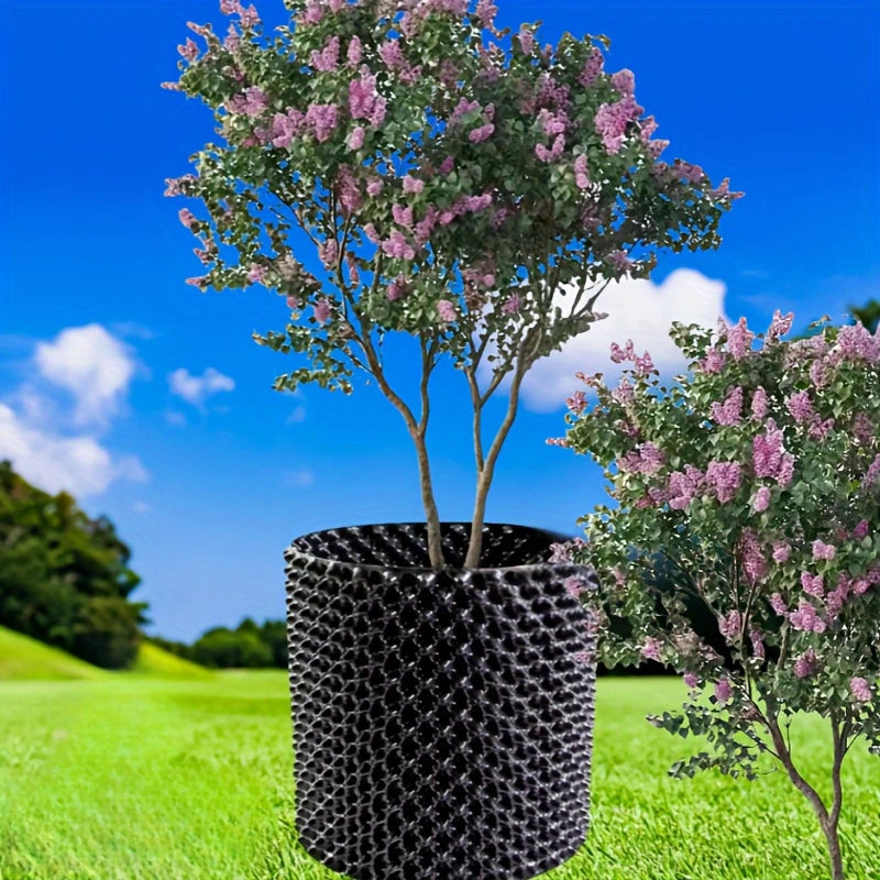 Système de Guidage des Racines pour Plantes – Croissance Forte et Saine
