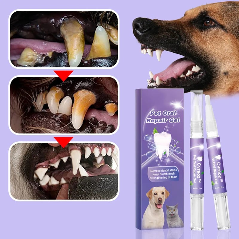 BiteBright™ – Haleine fraîche et saine pour animaux de compagnie [1 + 1 Gratuit]