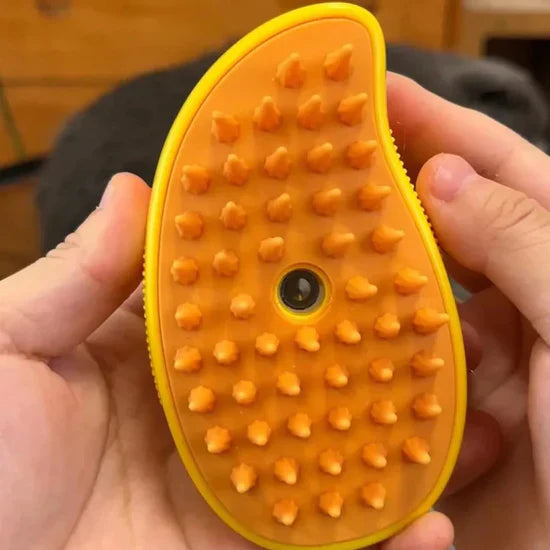 Brosse de Toilettage pour Animaux avec Spray Nano-Brume