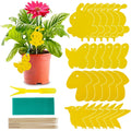 Pièges adhésifs décoratifs pour plantes – Non toxiques et sans produits