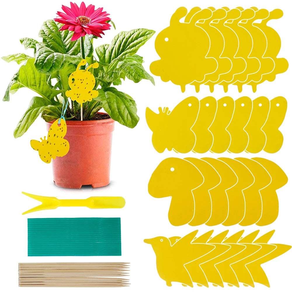 Pièges adhésifs décoratifs pour plantes – Non toxiques et sans produits
