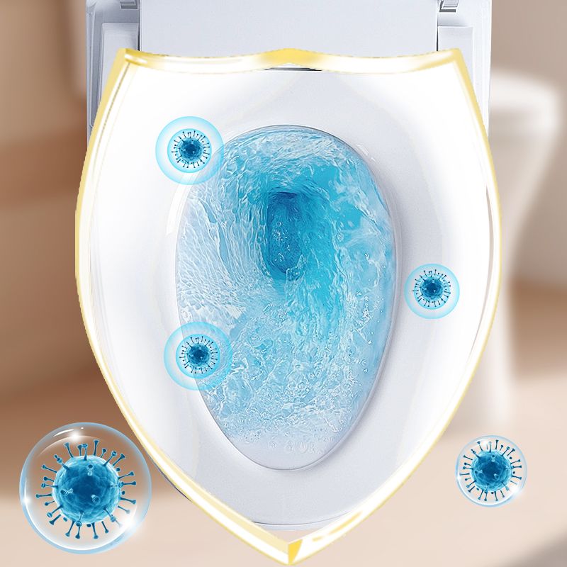 Capsules Nettoyantes pour Toilettes – Anti-Calcaire, Antibactérien et Parfumé