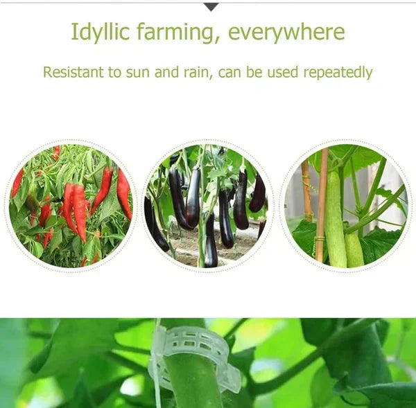 Clips de Support pour Plantes – Fixation Douce et Réutilisable