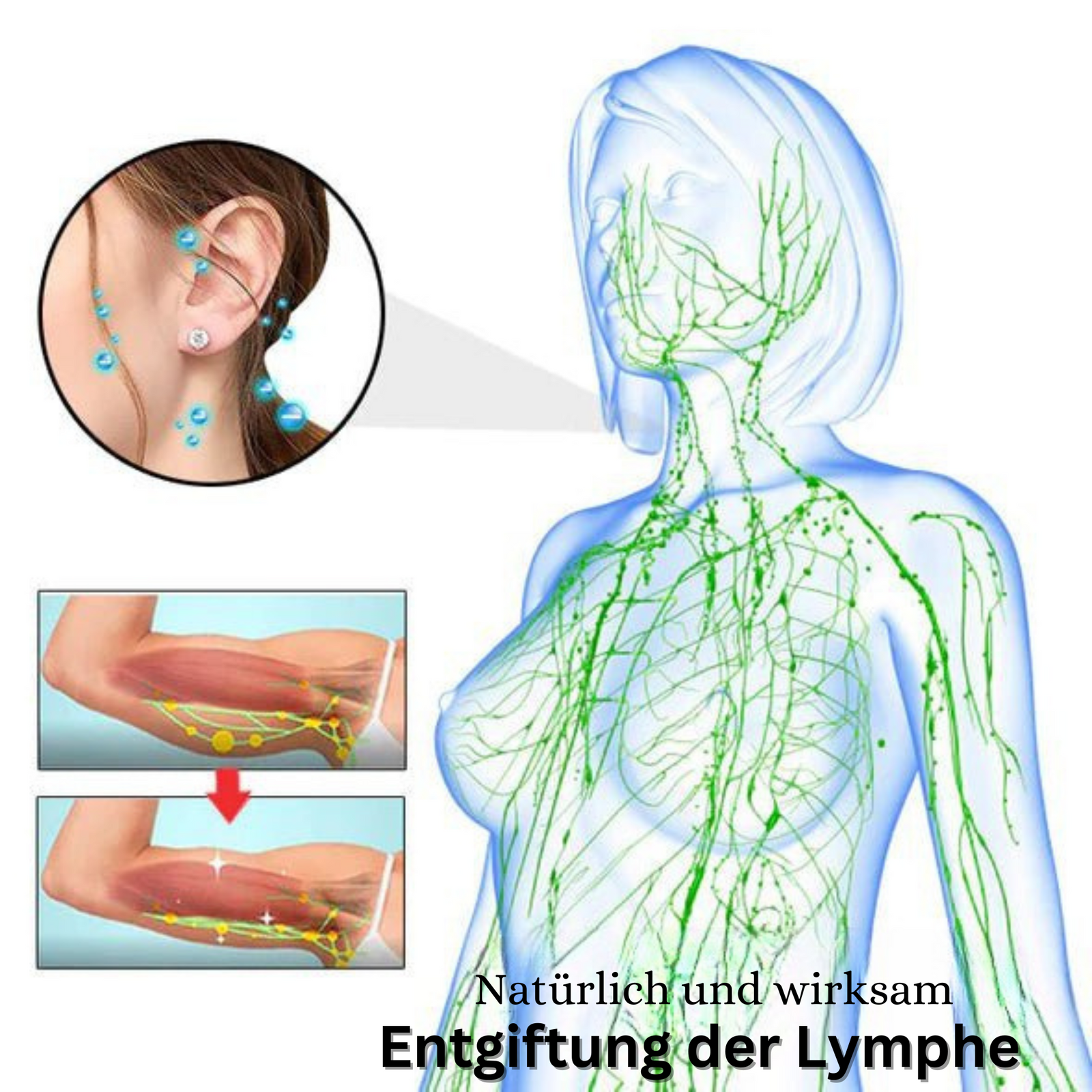 Boucles d'oreilles magnétiques en zircon avec aimant d'acupression