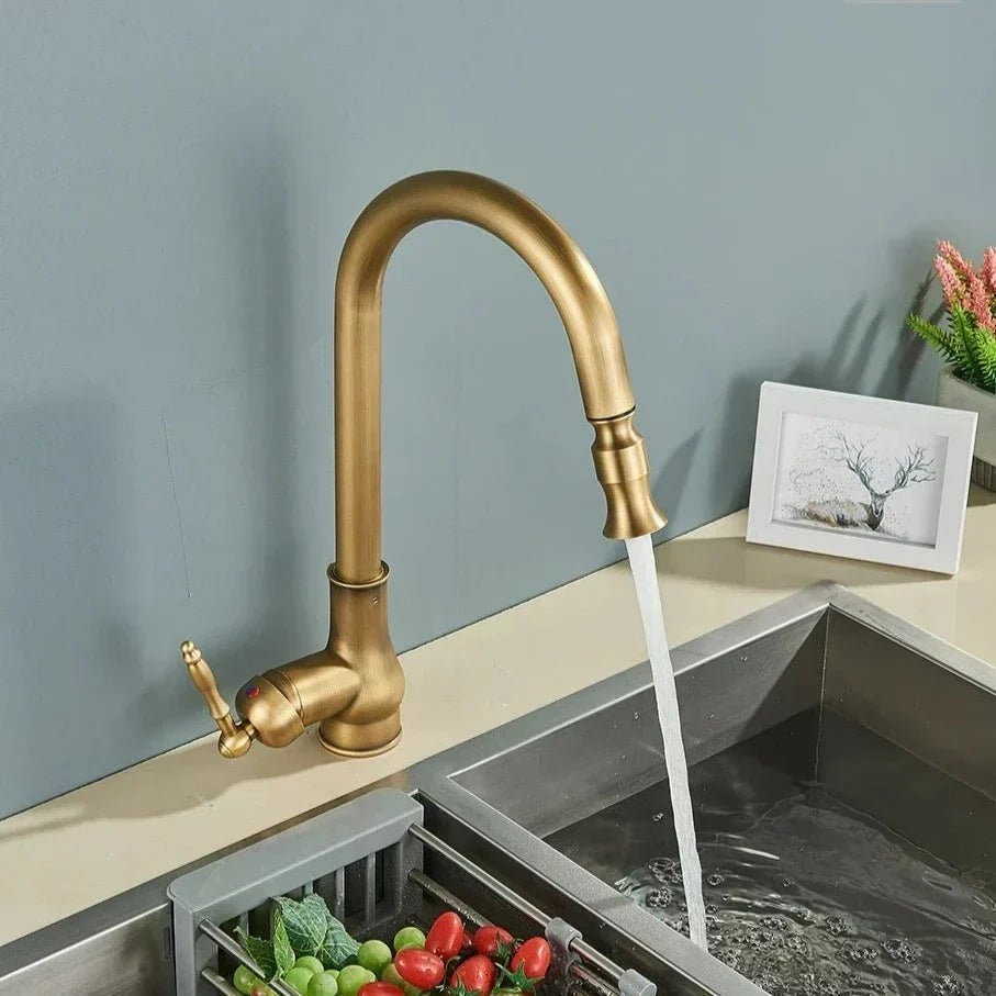 Robinet de cuisine avec douchette extractible en bronze antique pour le quotidien