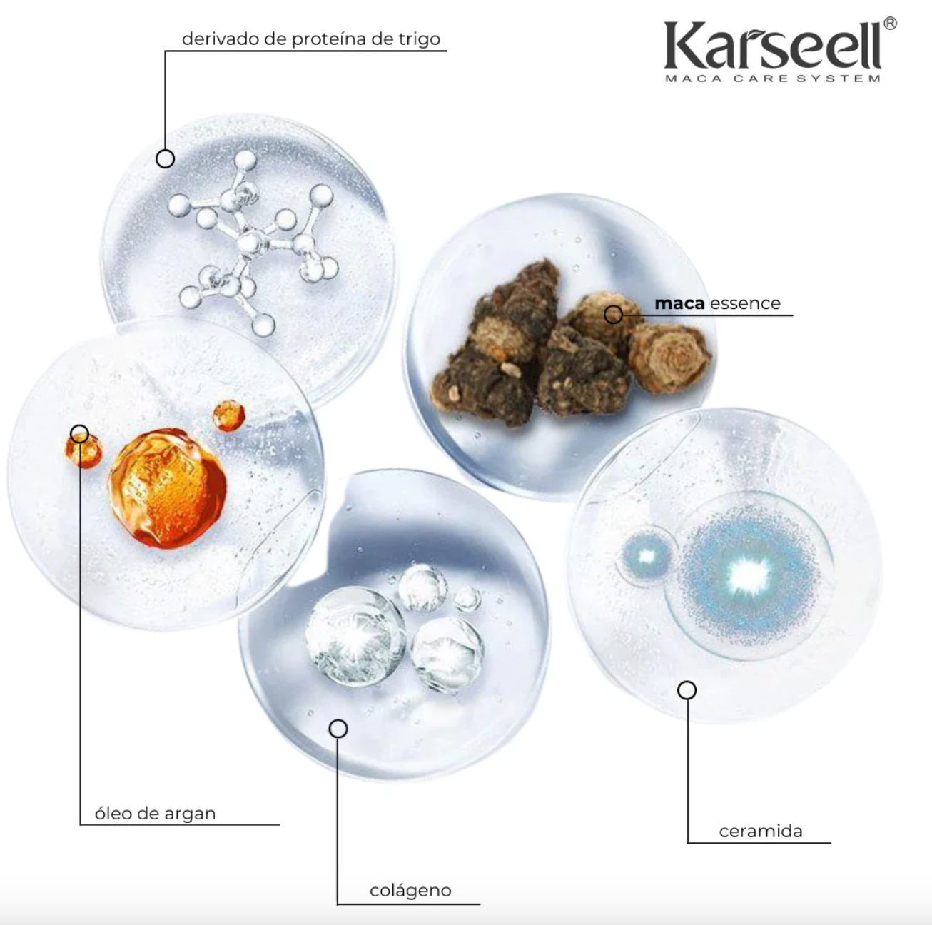 Masque Capillaire Collagène & Maca – Hydratation Profonde et Brillance