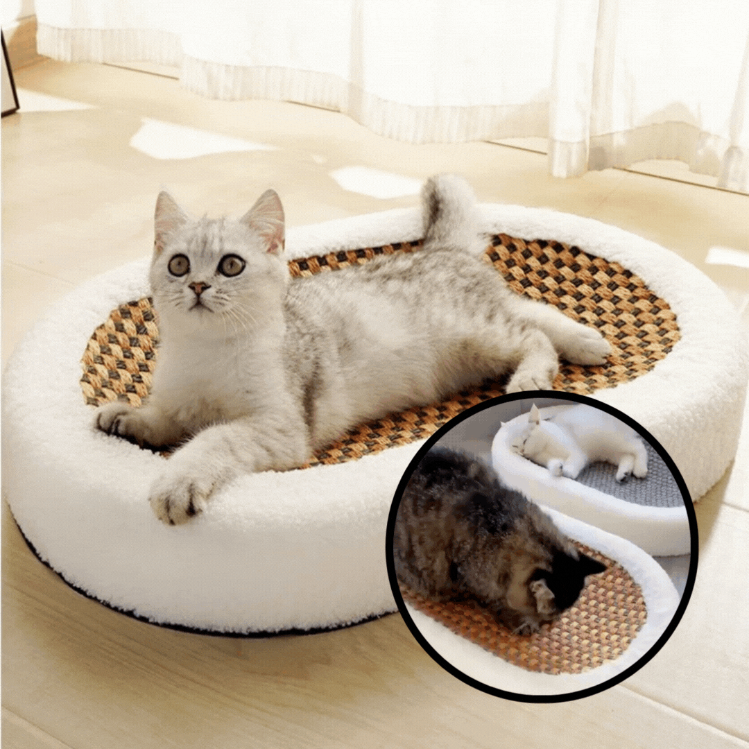 ScratchNest™ – Panier en peluche pour chat avec surface à griffer [50 % de réduction]