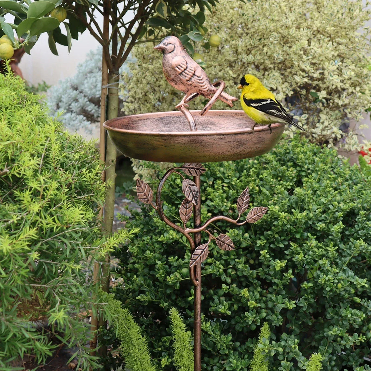 Bain d'oiseaux avec pique de sol – coupe décorative de jardin pour oiseaux sauvages